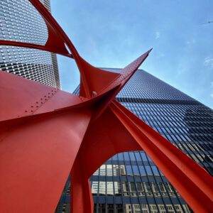 Flamingo - Worm's Eye View