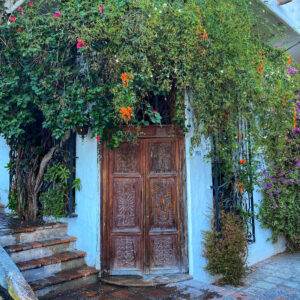 Doorway With Flowers 1