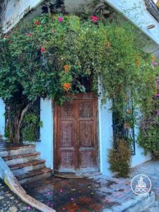 Doorway With Flowers 1