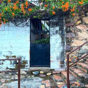 Doorway With Flowers 2