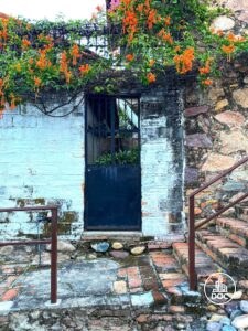 Doorway With Flowers 2