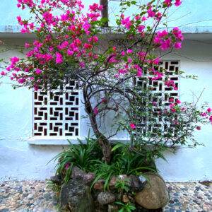 Flowering Tree 1
