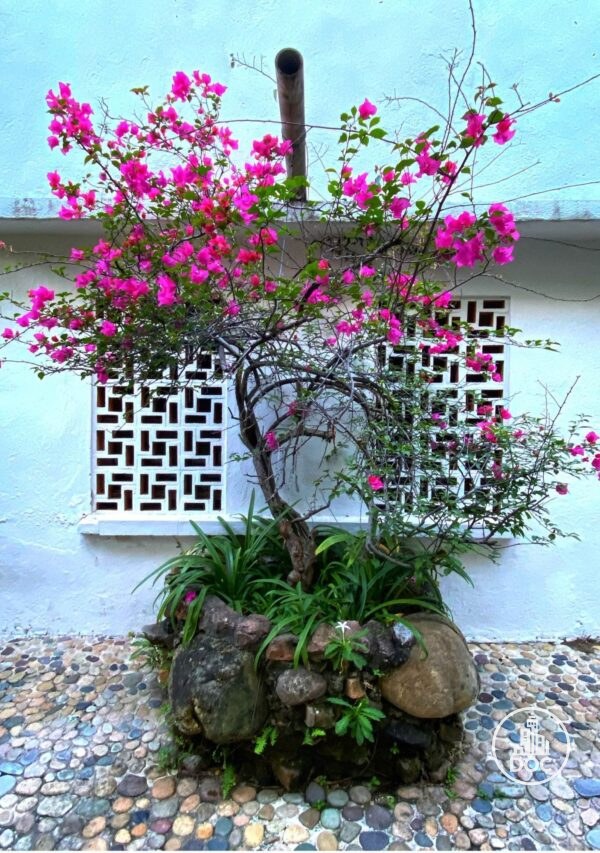 Flowering Tree 1