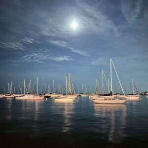 Sailboats at Chicago Yacht Club