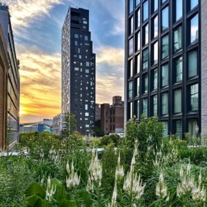 High Line Architecture 5